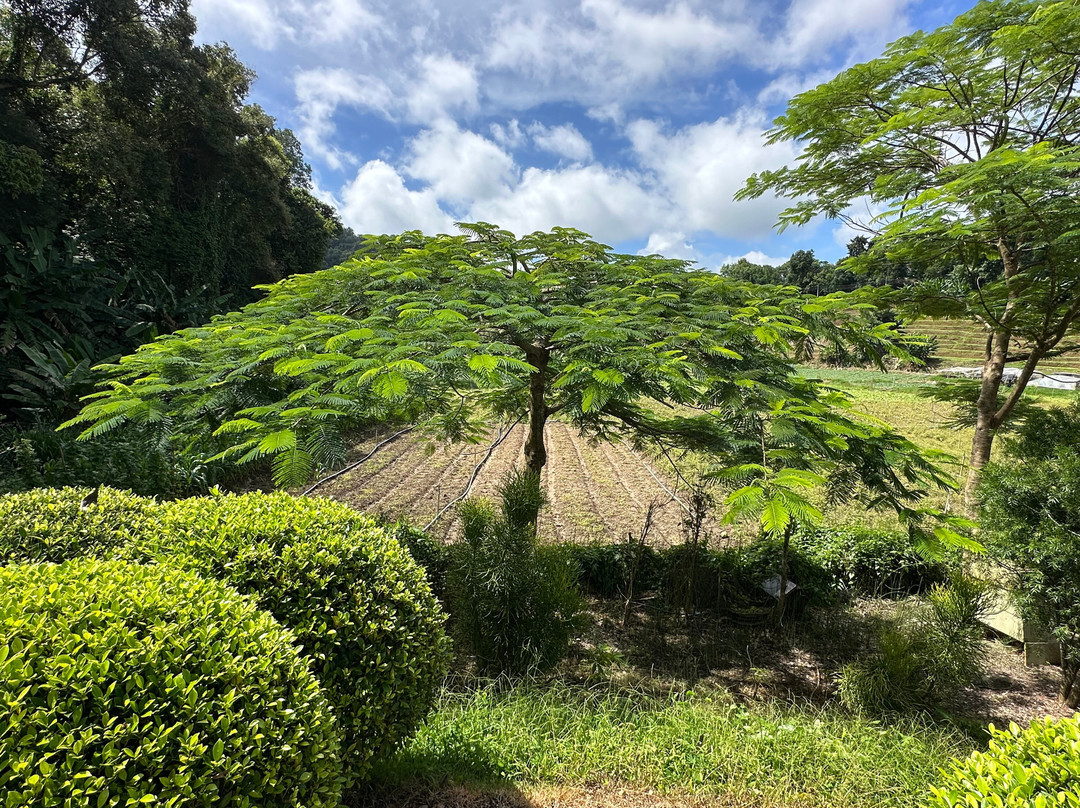 蒙查温泉旅馆主图