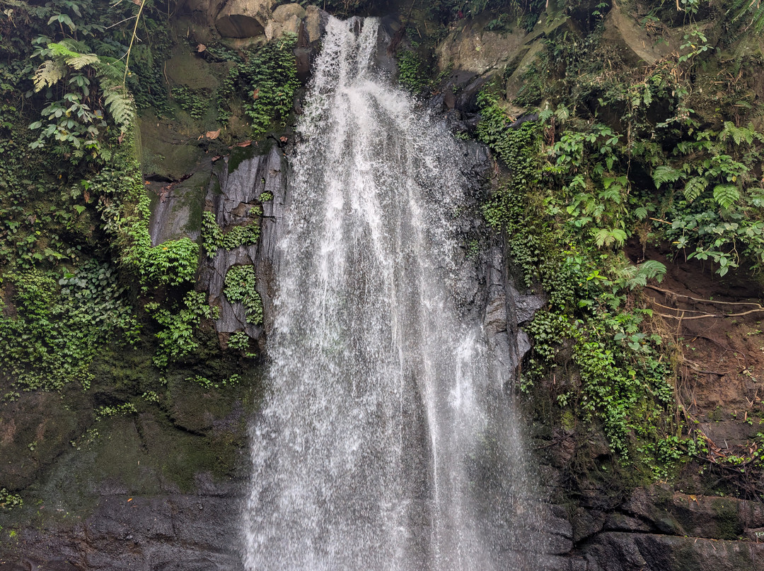 Best Ubud Driver-乌布必去景点