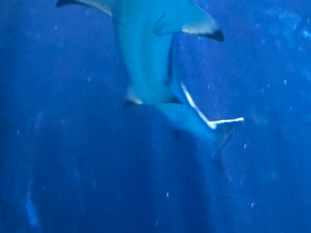 德国乐高乐园-茨堡必去景点