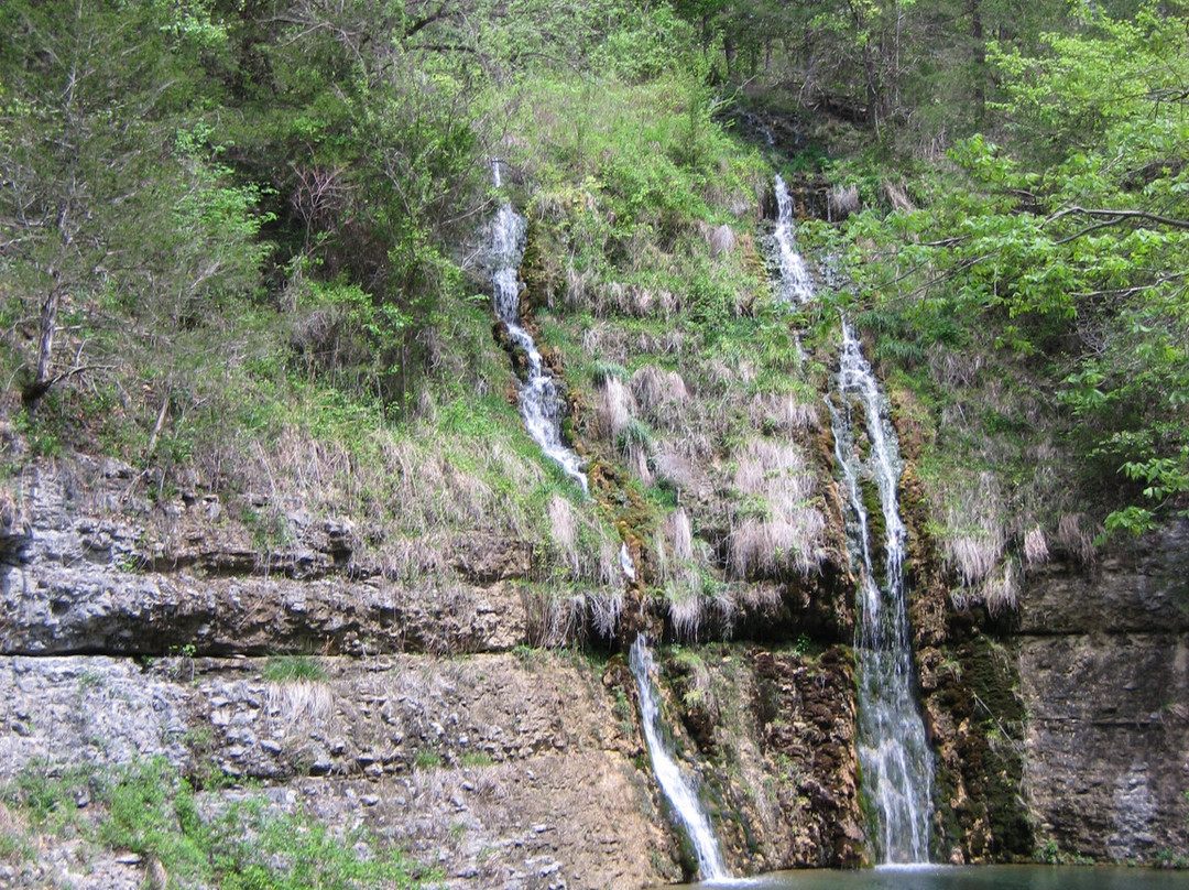 Dogwood Canyon Nature Park-Lampe必去景点