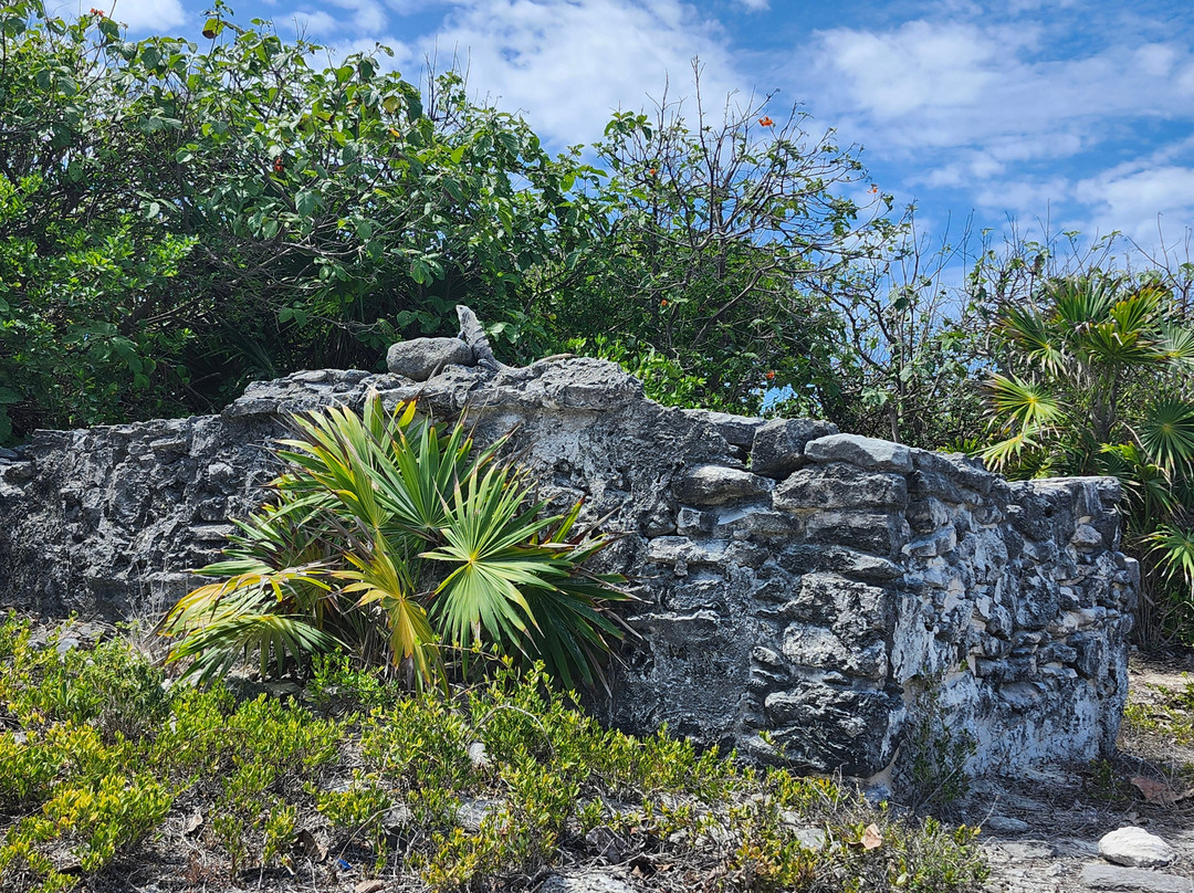 Punta Sur Eco Beach Park-考祖梅必去景点