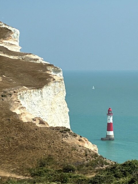 Sharnfold Farm-伊斯特本必去景点