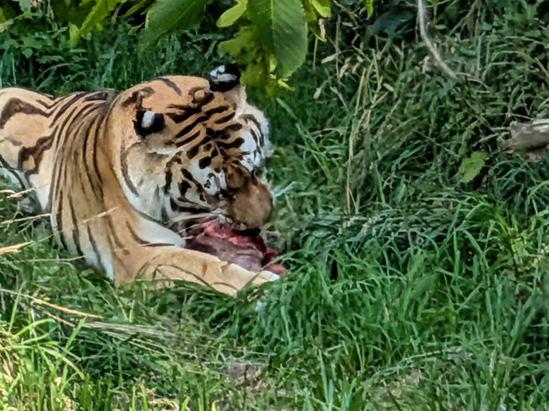 Knuthenborg Safaripark-马里博必去景点