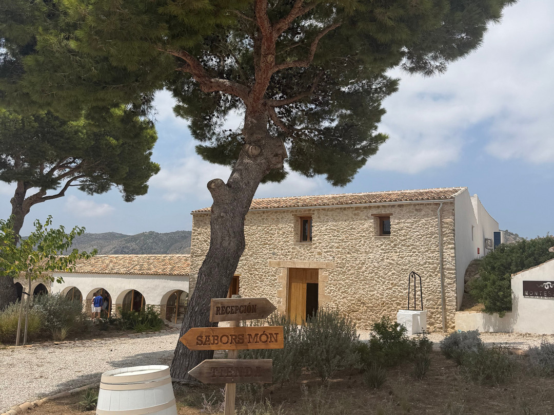Bodega Montesanco Teulada-Teulada必去景点
