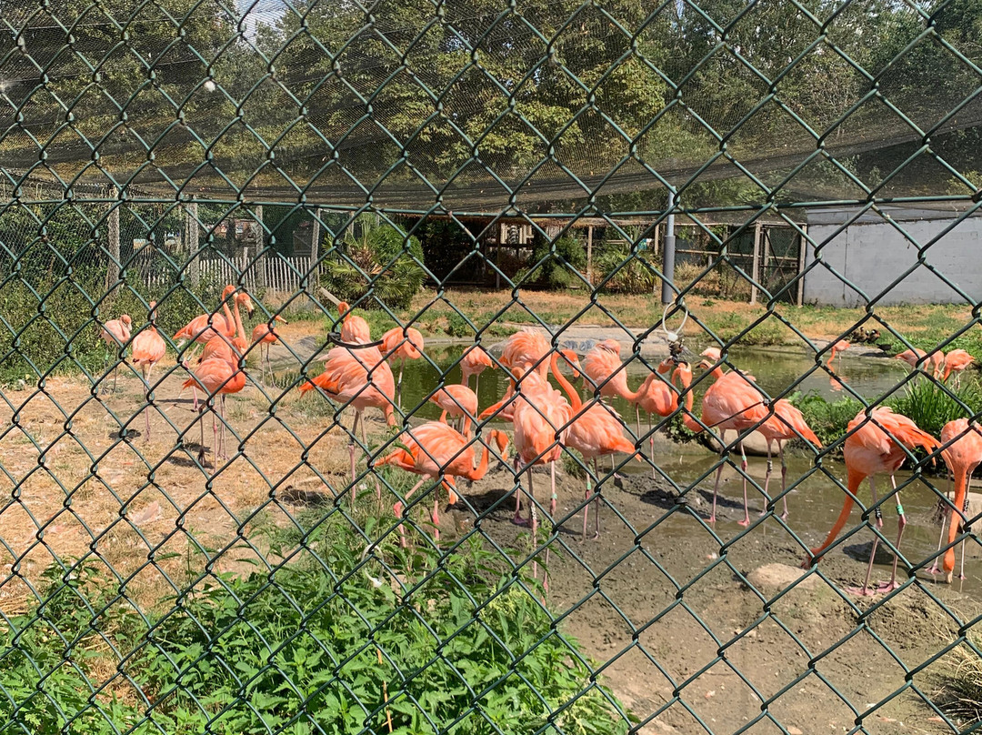Hanwell Zoo-伦敦必去景点