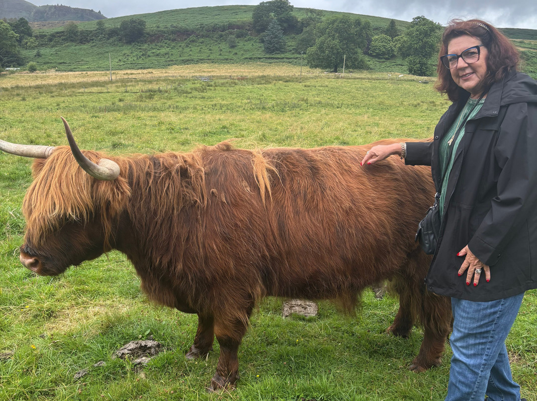 Nether Glenny Farm - Coos and Views-斯特灵必去景点