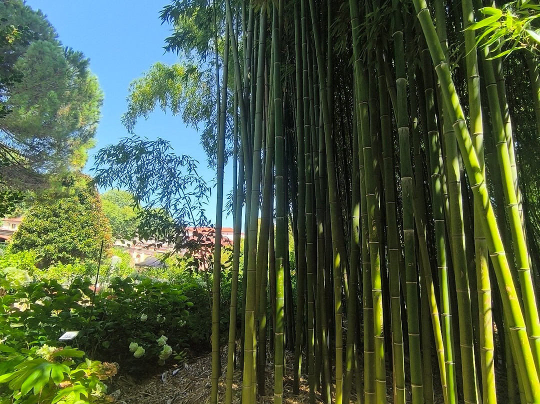 Palazzo Pfanner-卢卡必去景点