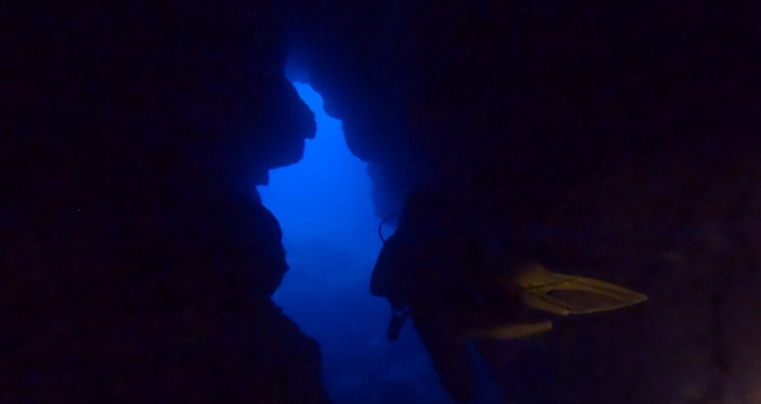 Blue Adventures Diving-干尼亚必去景点