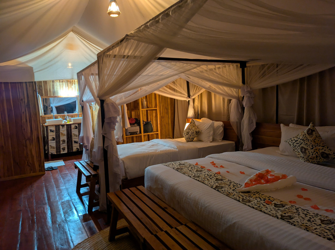 Sightseeing Luxury Tented Lodge