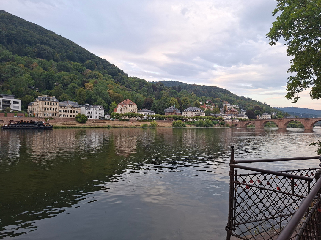 Neckar River-海德尔堡必去景点