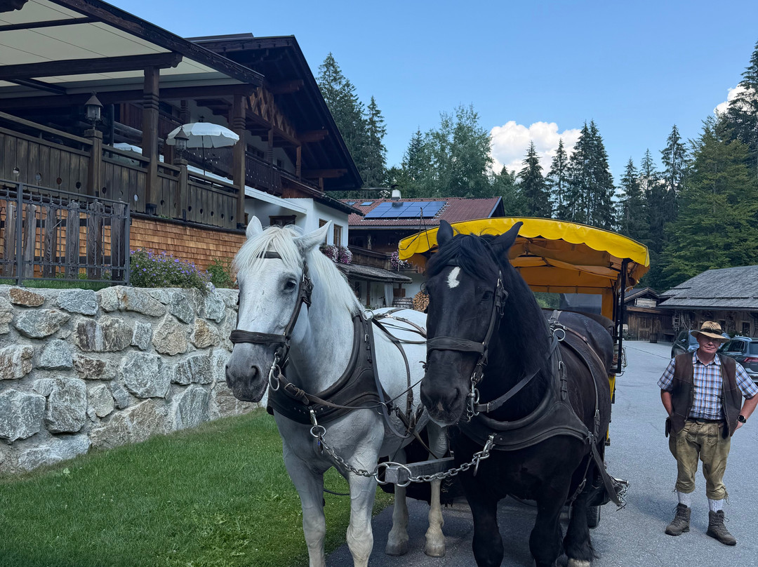 Pferdekutschenfahrten Fiakerei Neuner - Kutschenfahrt Tirol-湖地必去景点