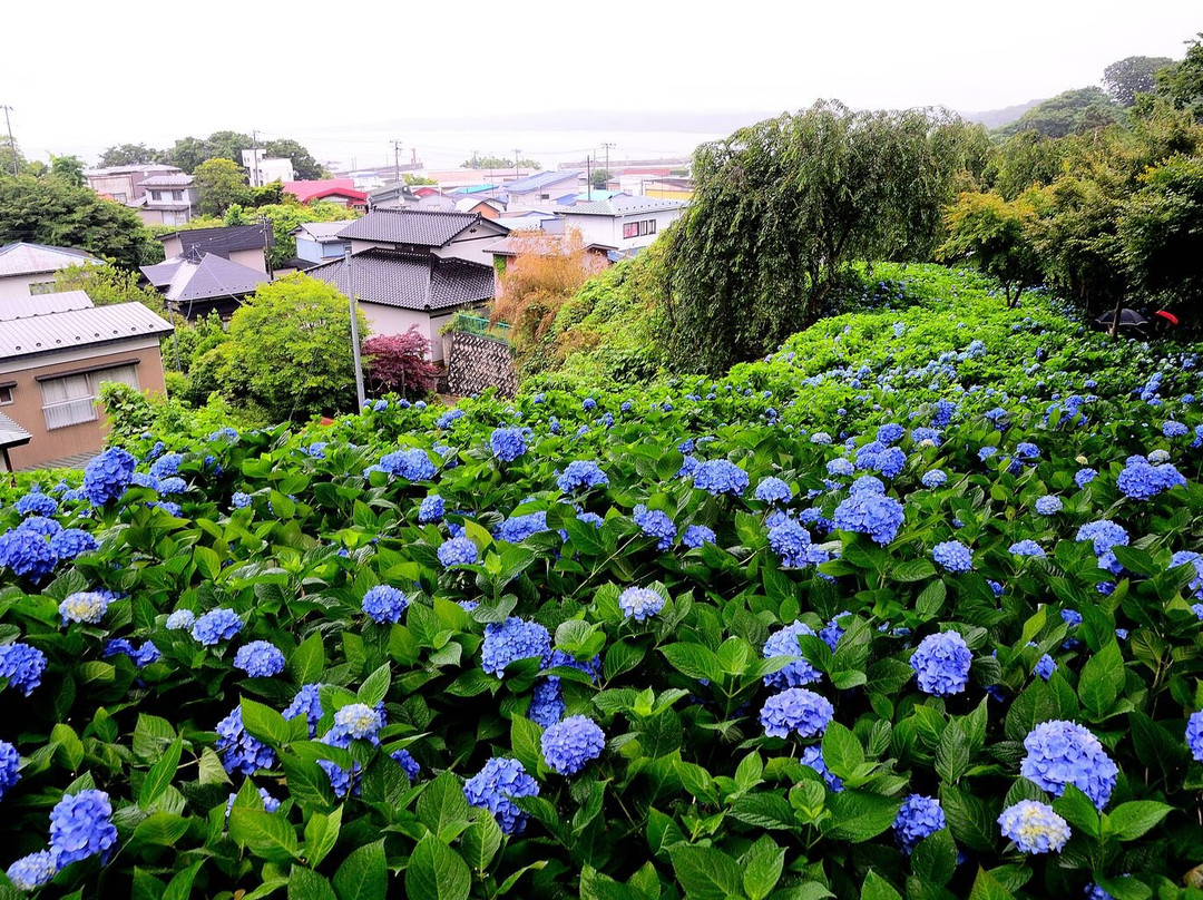 Unsho-ji Temple-男鹿市必去景点