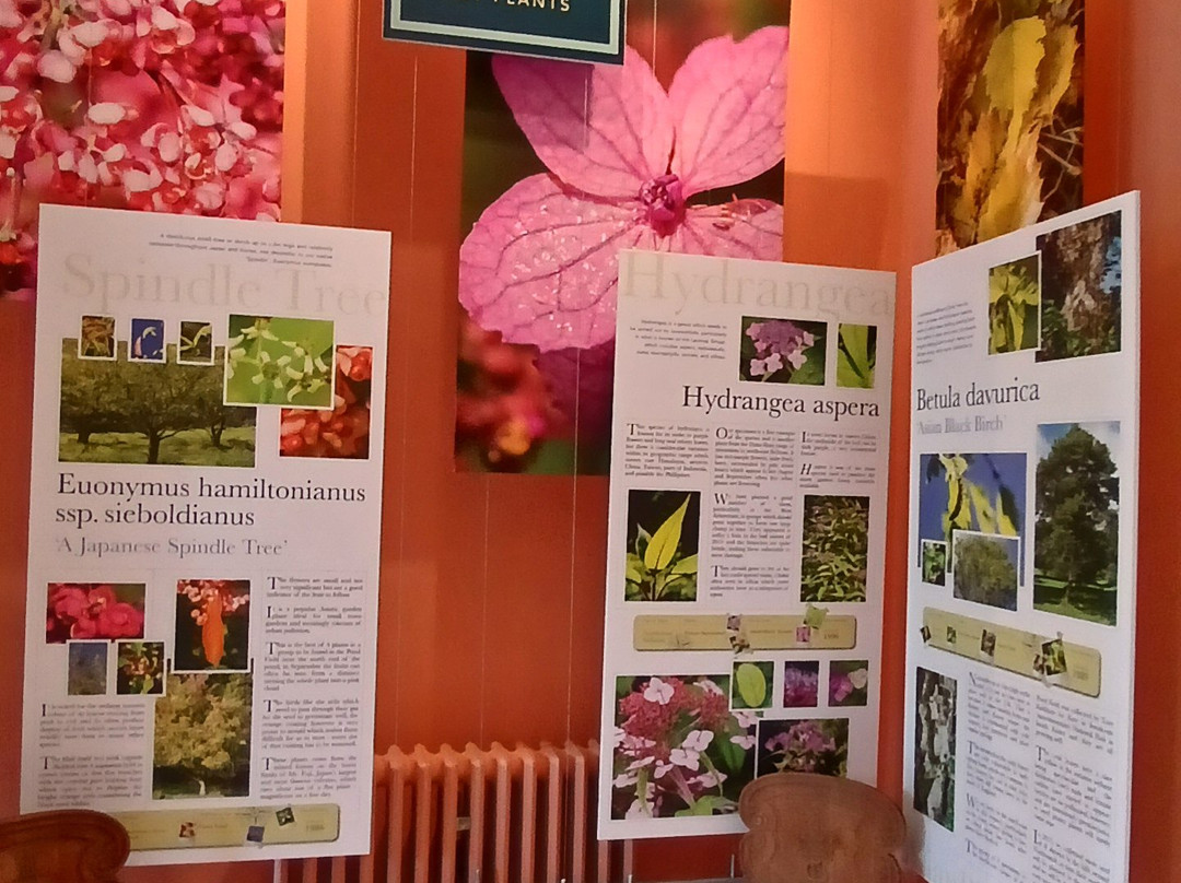 Howick Hall Gardens & Arboretum-阿尼克必去景点