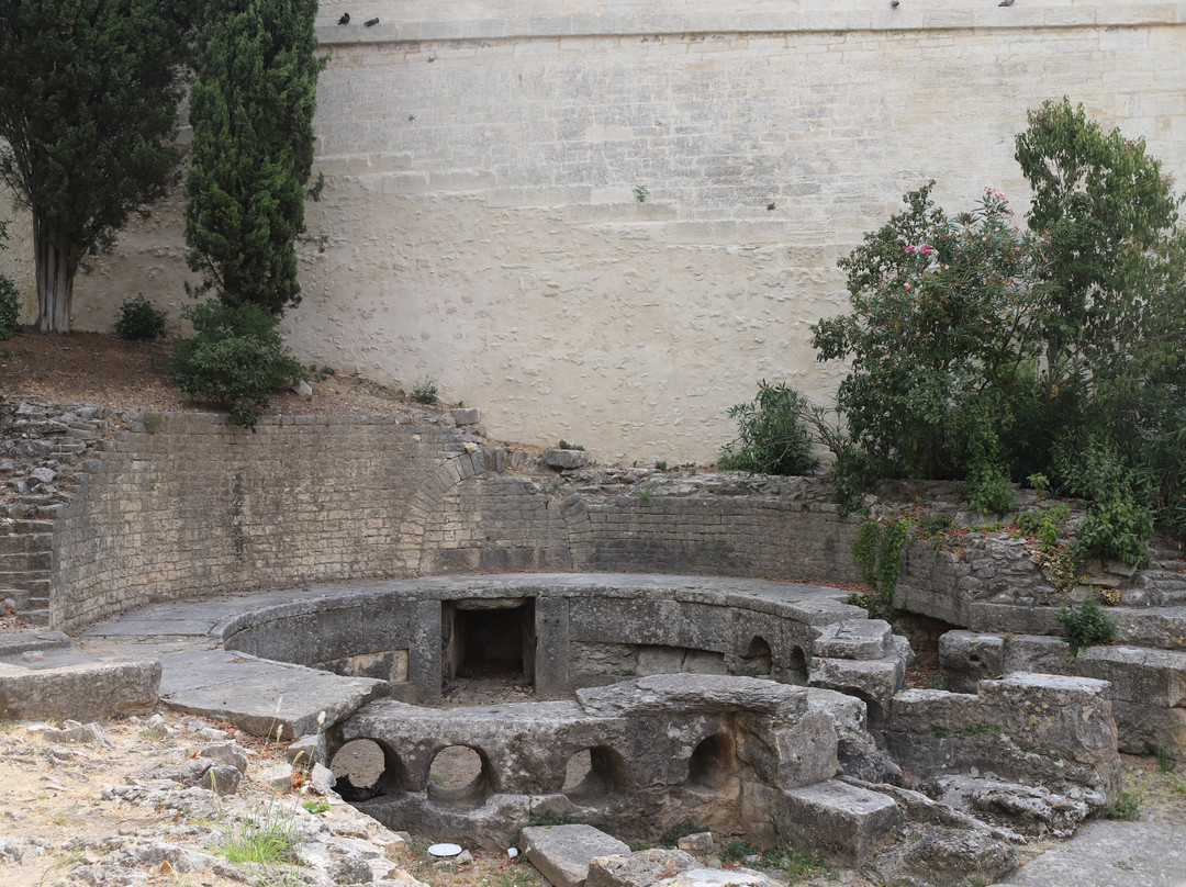 Castellum Aquae