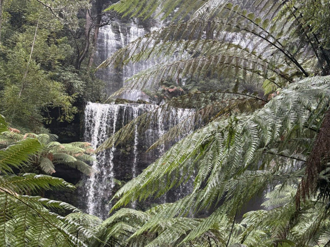 Russell Falls-费尔德山国家公园必去景点