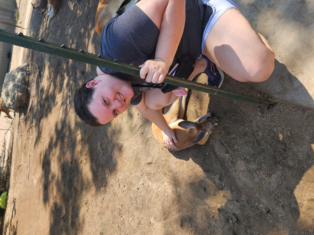 Tanganyika Wildlife Park-Goddard必去景点