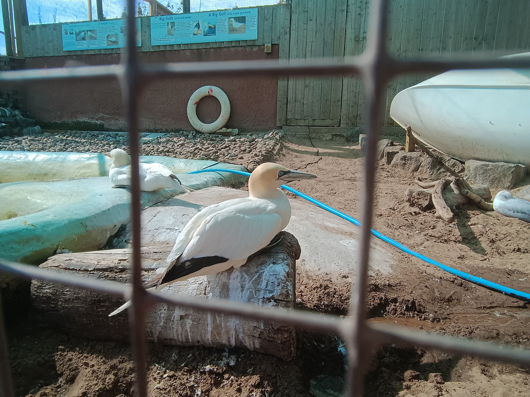 Mablethorpe Seal Sanctuary and Wildlife Centre-Mablethorpe必去景点