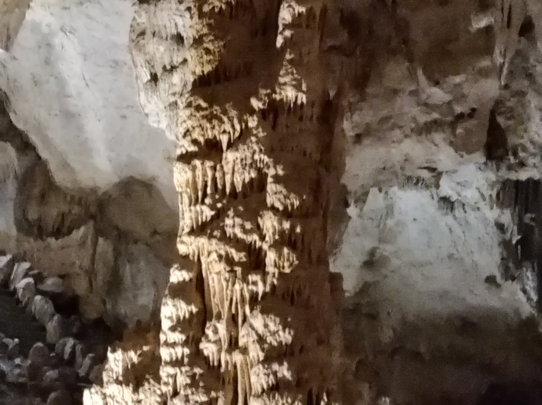 La Grotte Des Demoiselles-Saint-Bauzille-de-Putois必去景点