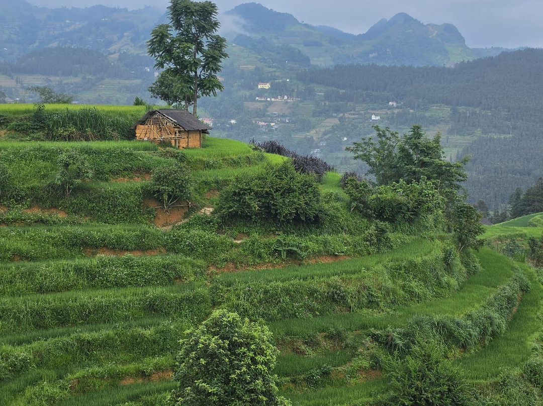 Đăng Khoa Tour-河内必去景点