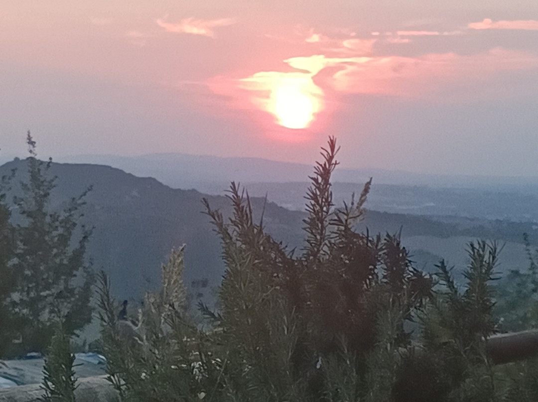 Agriturismo Guardastelle The Bed and Breakfast主图