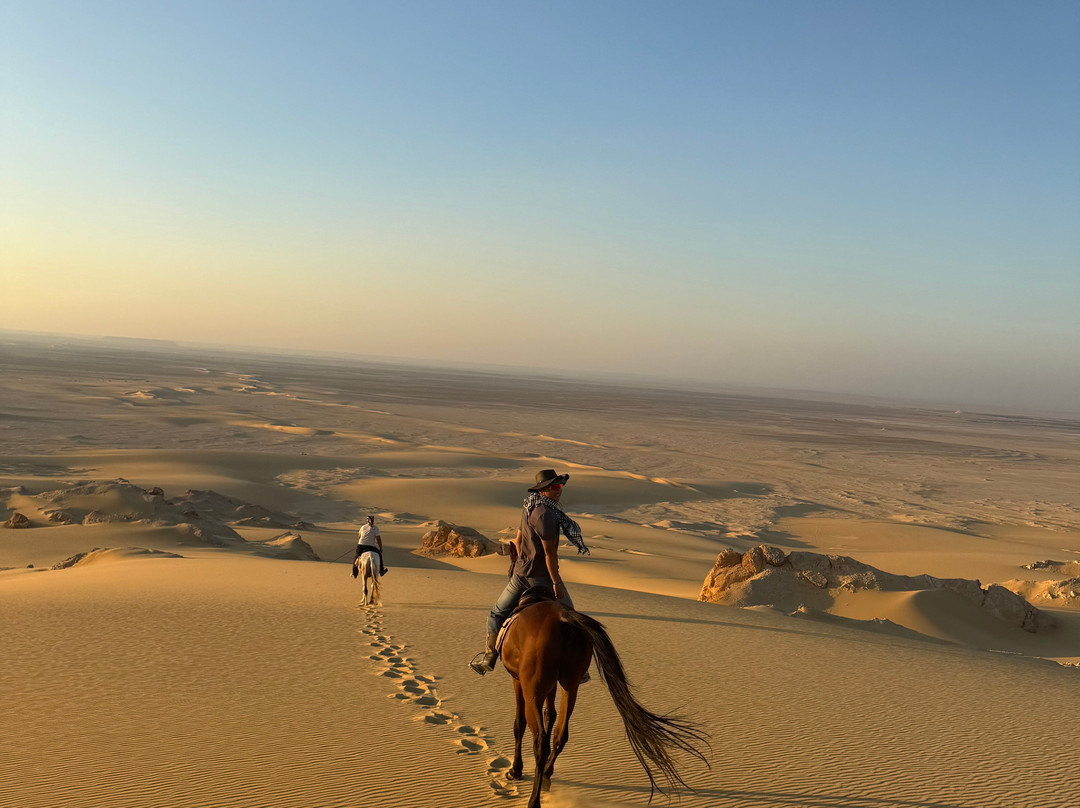 Horse Trips Egypt-Tunis必去景点