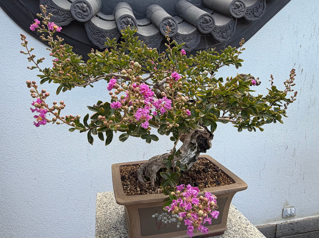蒙特利尔植物园-蒙特利尔必去景点
