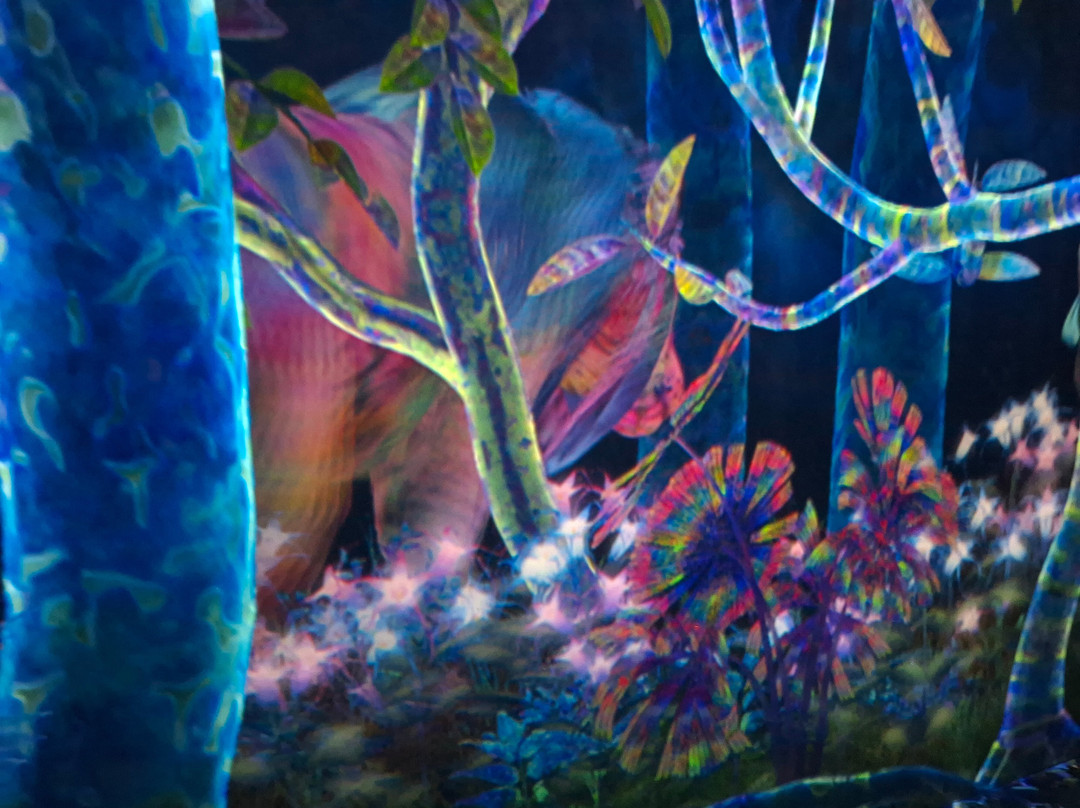 teamLab Planets TOKYO-Toyosu必去景点