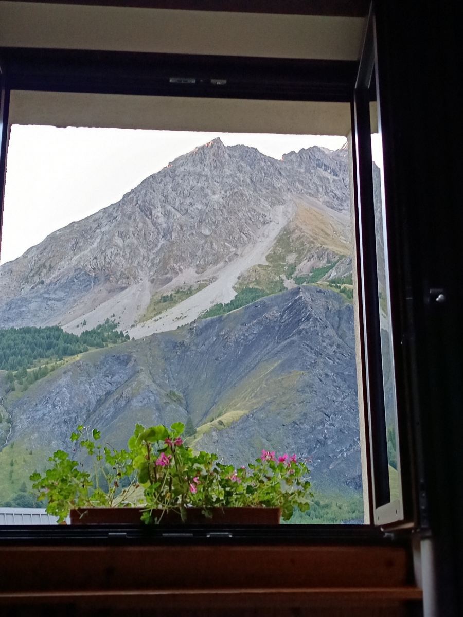 奥博格艾德维斯酒店-旅行者
