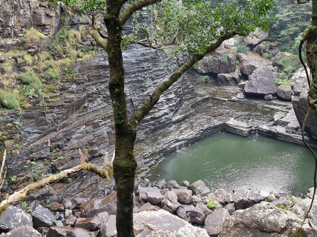 Graskop Gorge Lift Company-赫拉斯科普必去景点