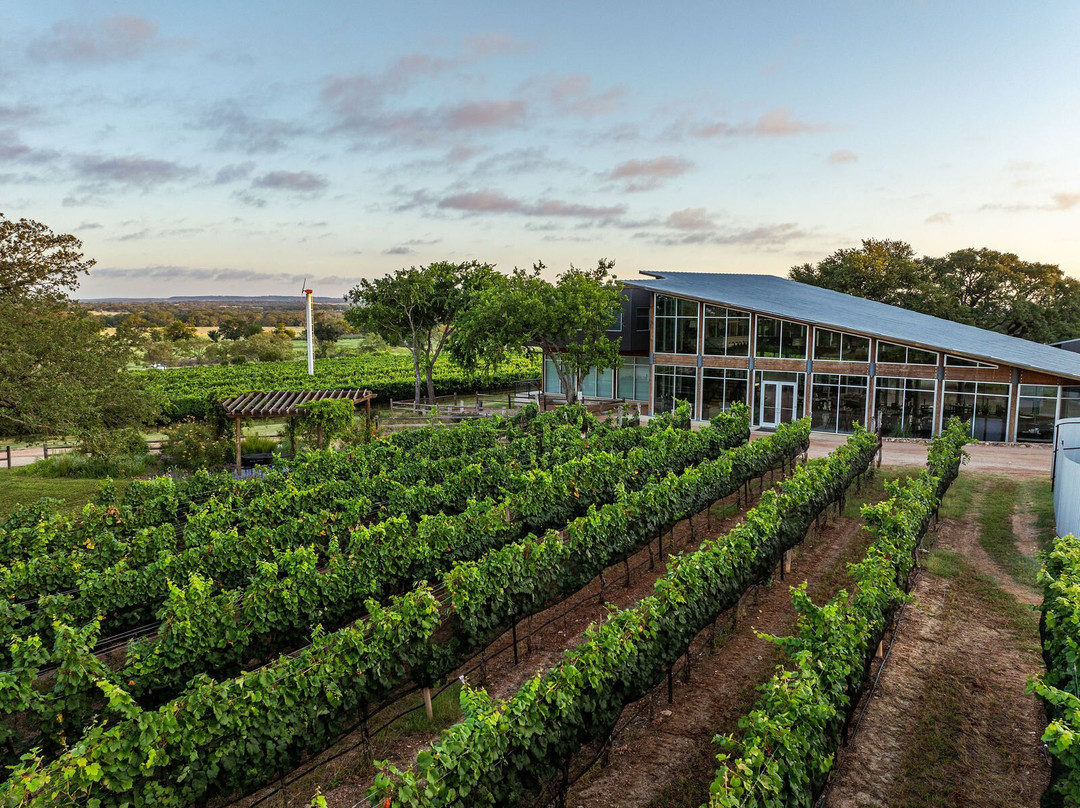 William Chris Vineyards-Hye必去景点