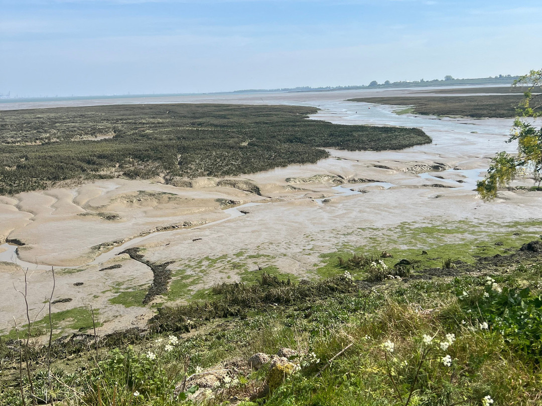 Riverside Country Park-吉林汉姆必去景点