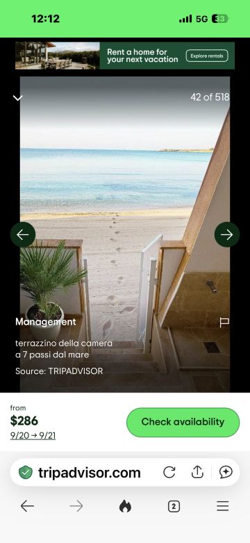 白色海湾酒店-旅行者