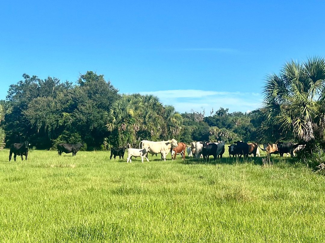 Walton Ranch Preserve-North Port必去景点