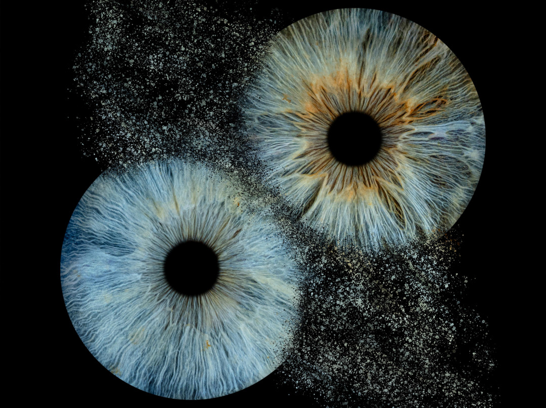 Iris Galerie Arnhem