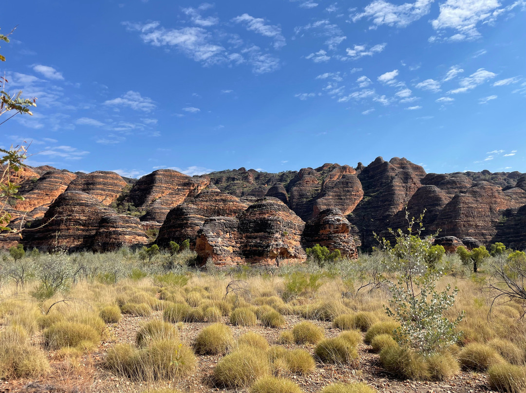 Kimberley Safari Tours-North Perth必去景点