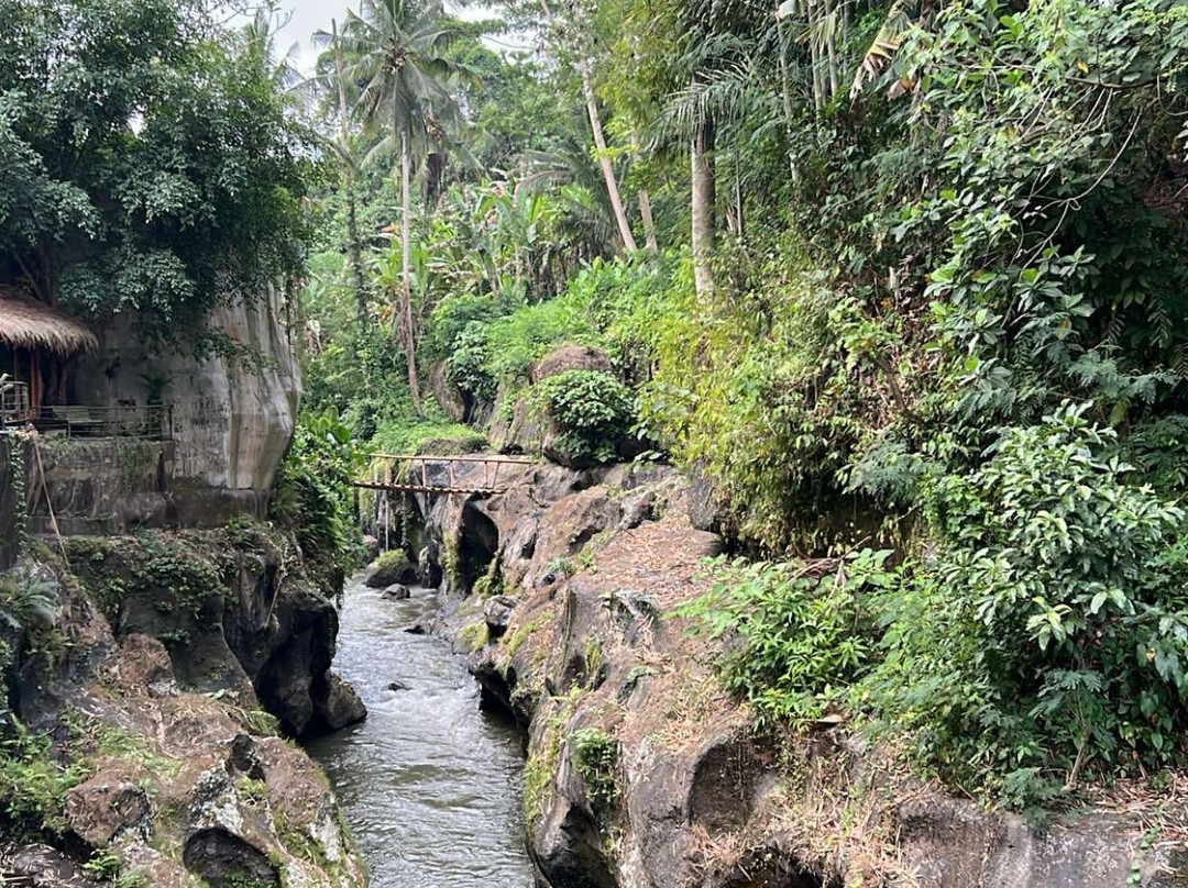 Seres Springs Resort & Spa, Singakerta主图