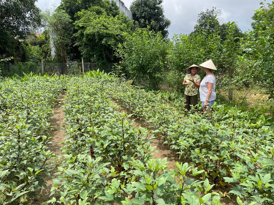 An Farm Hoi An-会安必去景点