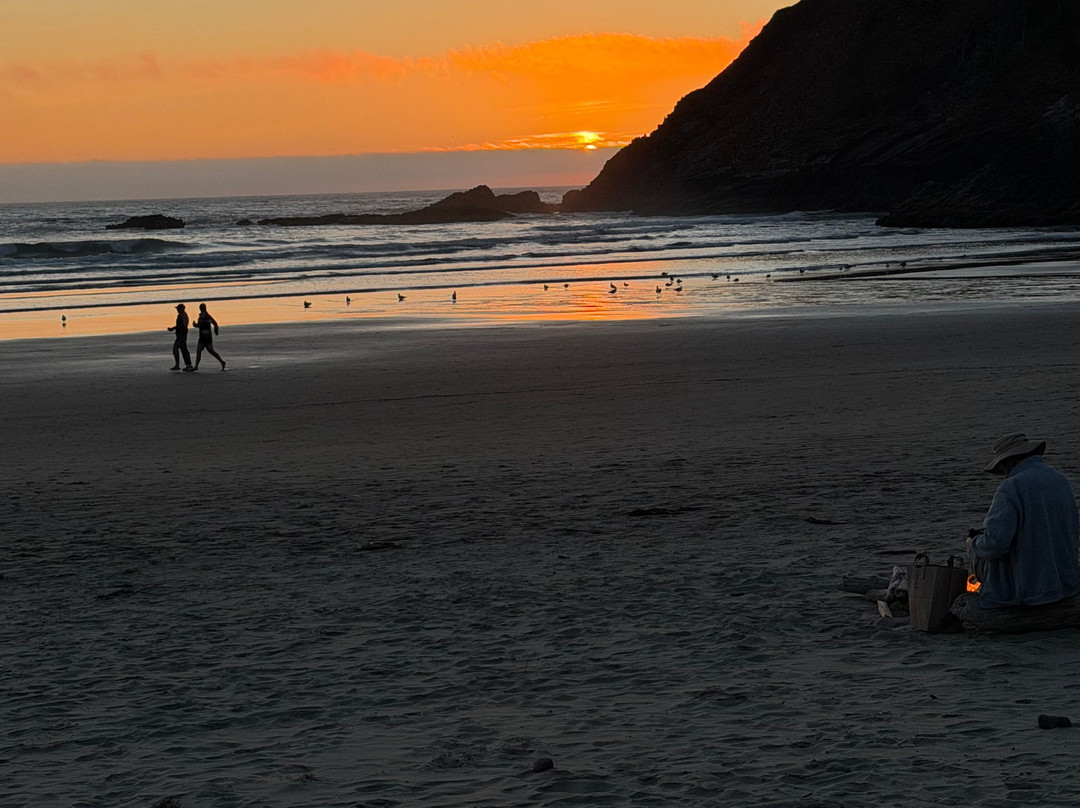 Ecola State Park-坎农比奇必去景点