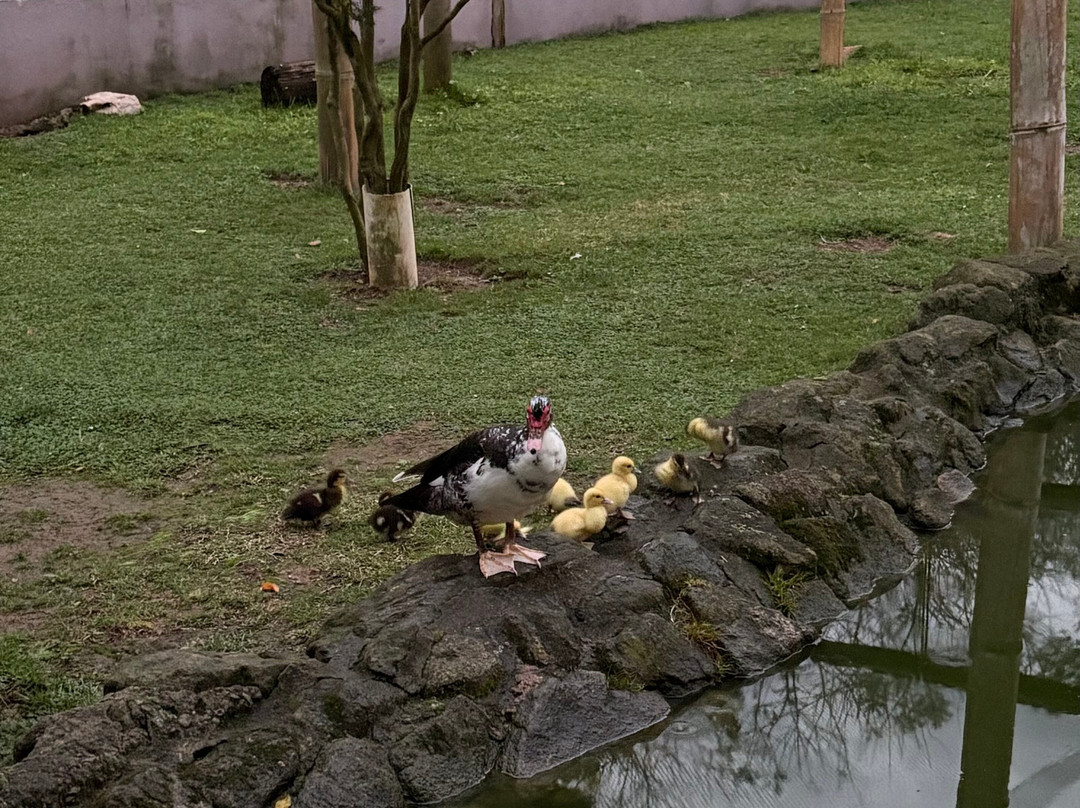 Hotel Fazenda Terra Dos Sonhos主图