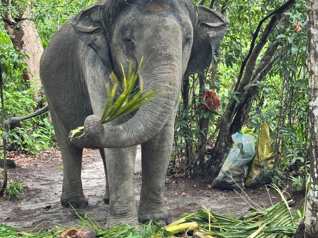 Koh Yao Elephant Beach-阁耀亚伊岛必去景点