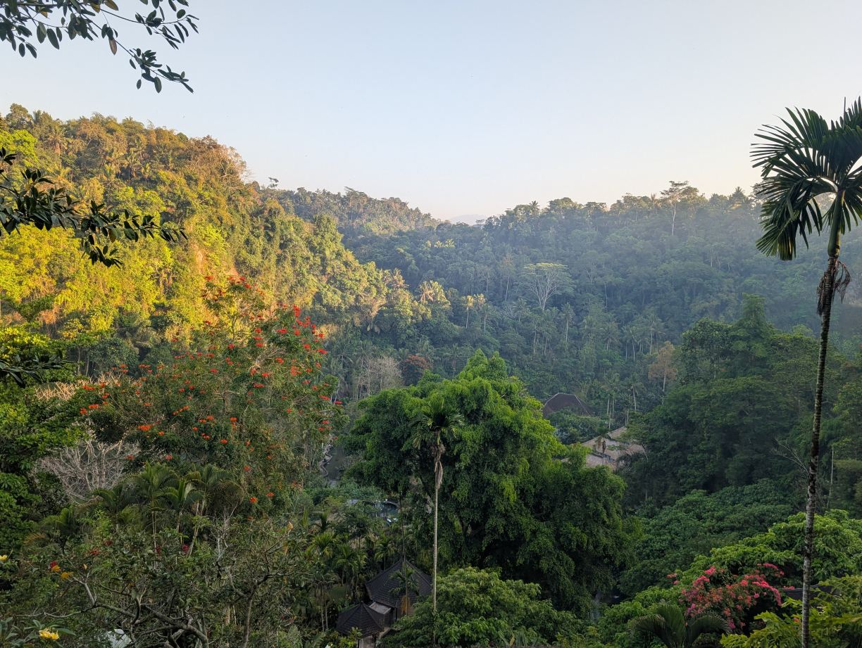 皇家皮塔玛哈酒店-旅行者
