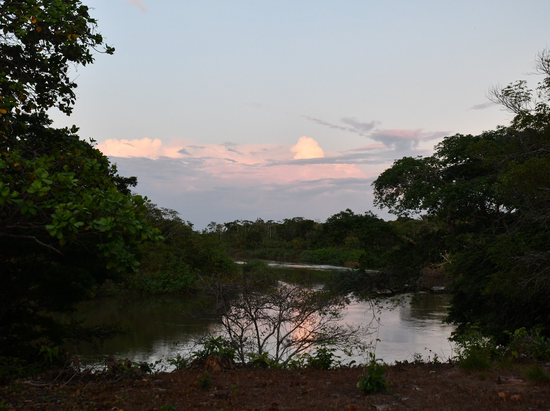 Adventure Guianas-乔治城必去景点