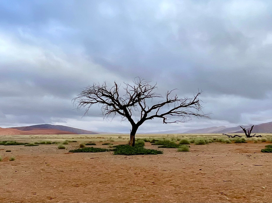 Sossusvlei-Namib-Naukluft Park必去景点