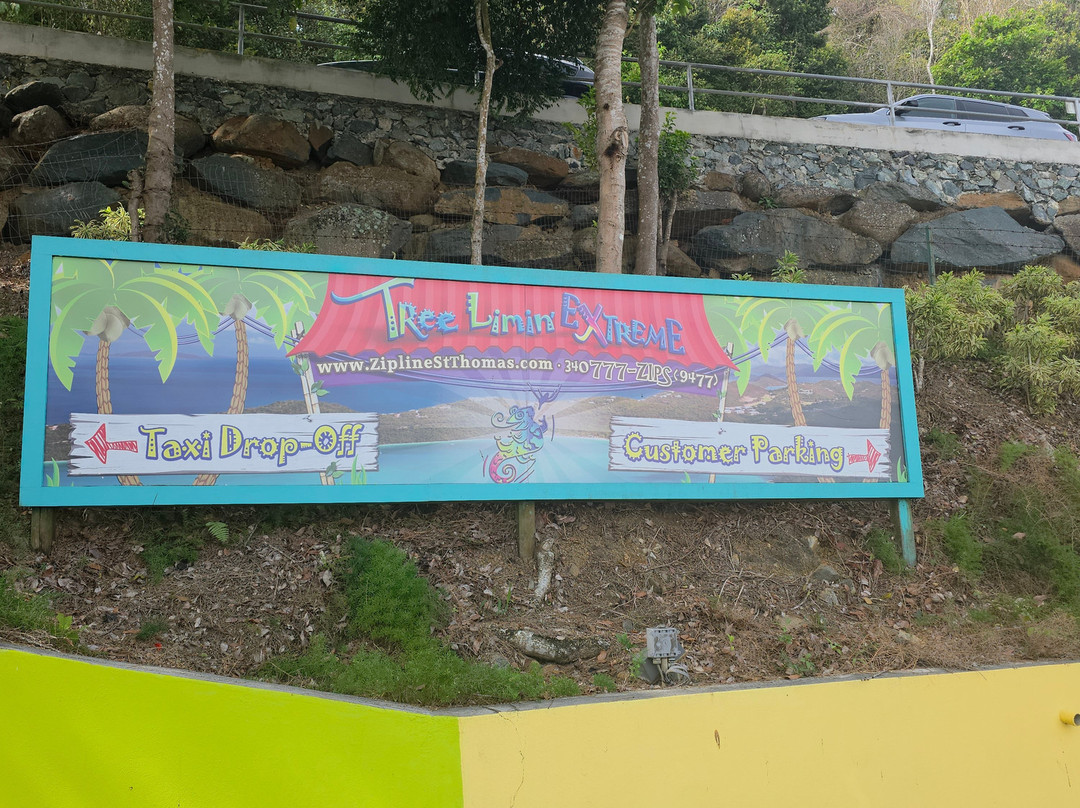 Tree Limin' Extreme Zipline-圣 托马斯必去景点