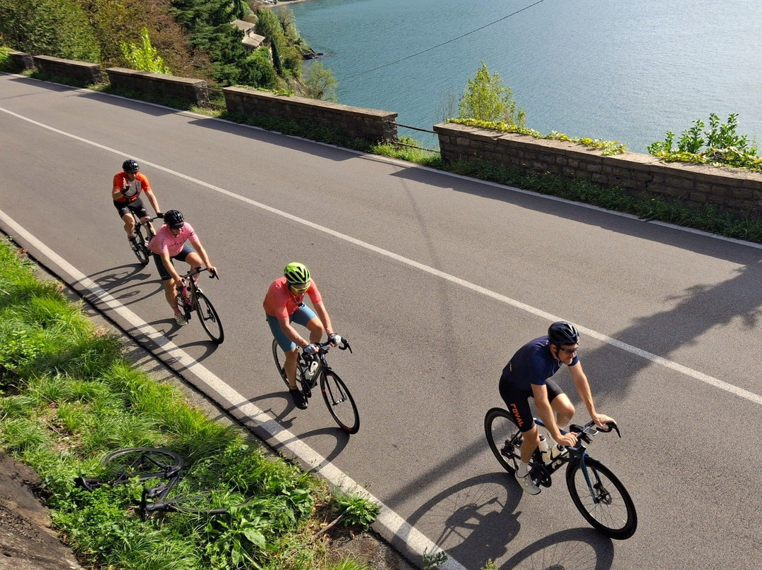 Alpine Cadence Cycling-Bellentre必去景点