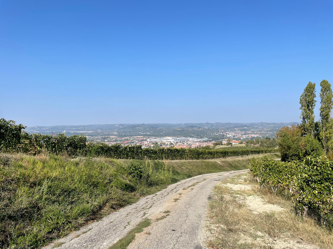 Abellonio - Cascina Piccaluga-阿尔巴必去景点