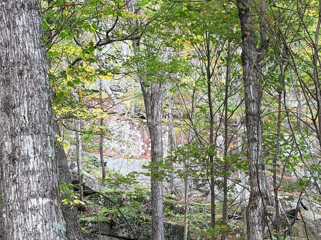 Boulder Loop Trailhead-Albany必去景点