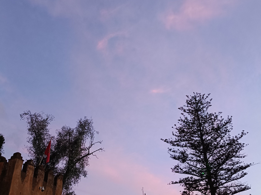 城堡博物馆-舍夫沙万必去景点