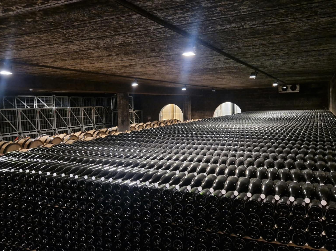 Genoels-Elderen Wine Castle-Riemst必去景点