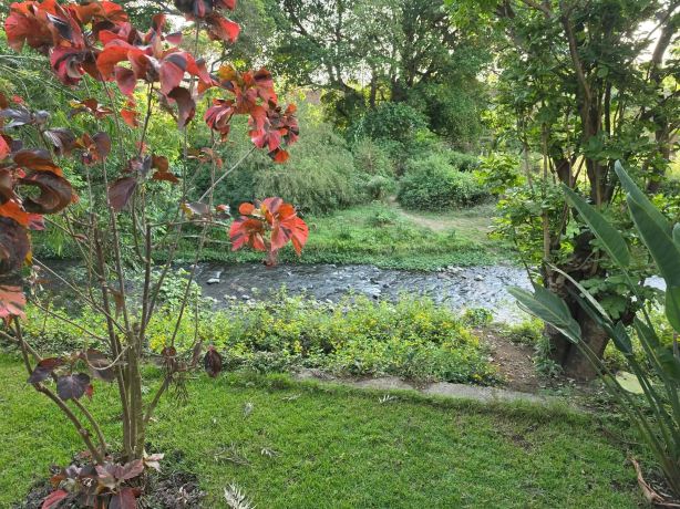 Mtoni River Lodge-旅行者